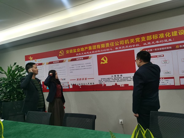 安徽鹽業(yè)地產(chǎn)集團機關第一黨支部開展“佩黨徽、誦誓詞、贈黨章、上黨課”黨員教育活動