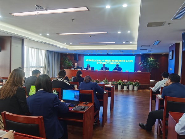 徽鹽地產(chǎn)集團開展明源與財務(wù)接口實操培訓